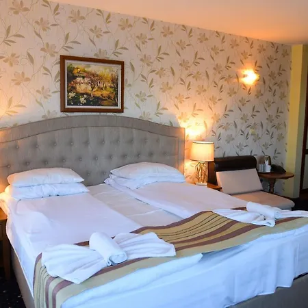 فندق Family Lazur 3*